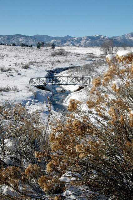 20091224DogPark3119a
