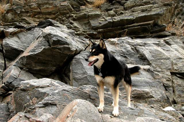 20100206ClearCreek3414