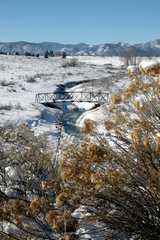 20091224DogPark3119a