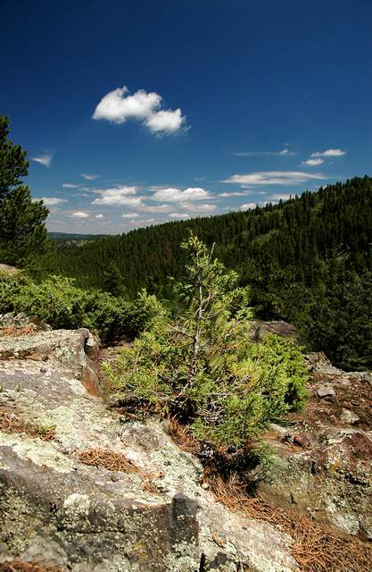 20100803Camping4471
