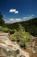 20100803Camping4471