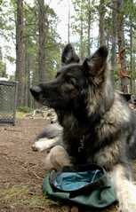 20100803Camping4523