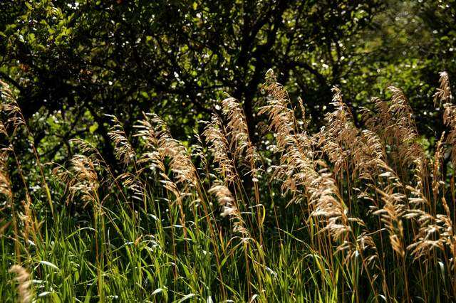 20100829Roxborough4815