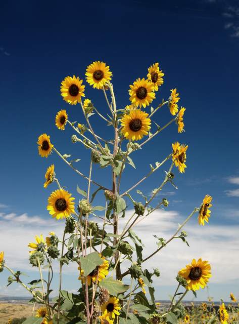 20100829Roxborough4863
