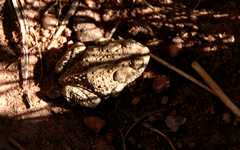 20100829Roxborough4754