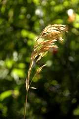 20100829Roxborough4768