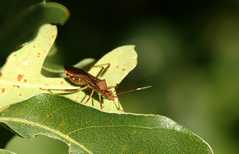 20100829Roxborough4773
