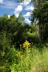 20100829Roxborough4807