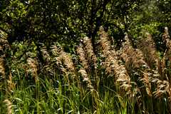 20100829Roxborough4815