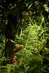 20100829Roxborough4845