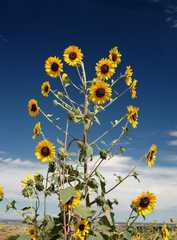 20100829Roxborough4863