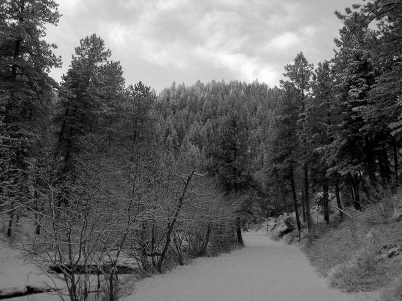 02-OFallonSnow1103312ph