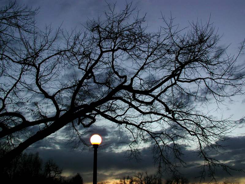 10-OctoberSilhouette030201_762