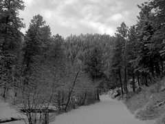 02-OFallonSnow1103312ph