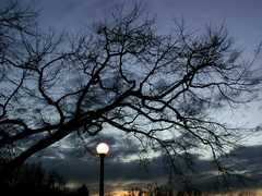 10-OctoberSilhouette030201_762