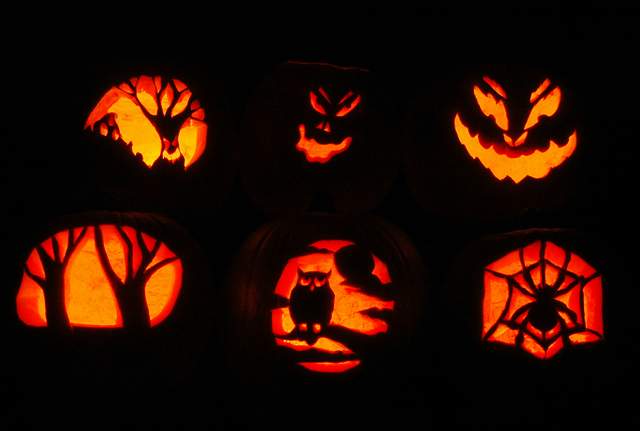 10-20101031Pumpkins_6076
