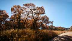 09-20091018Roxborough2061