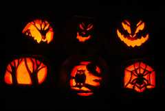 10-20101031Pumpkins_6076
