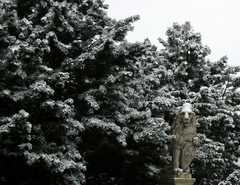 12-DecSnow740c