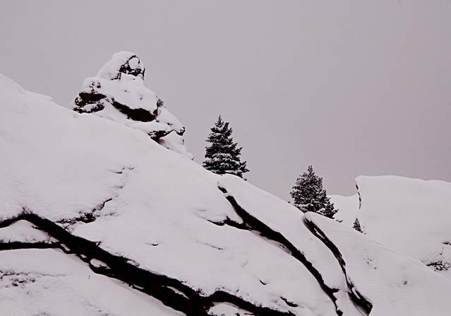 20110206Snow6287