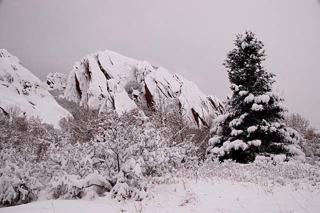 20110206Snow6296