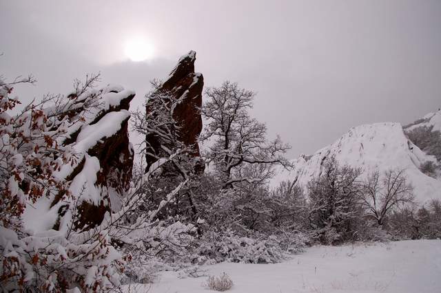 20110206Snow6312