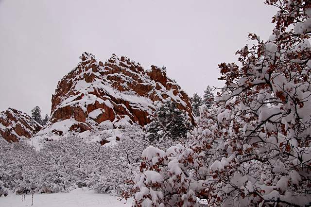 20110206Snow6326