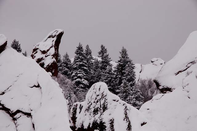 20110206Snow6368