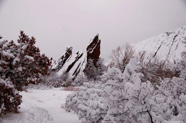 20110206Snow6394
