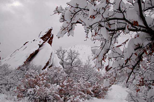20110206Snow6400