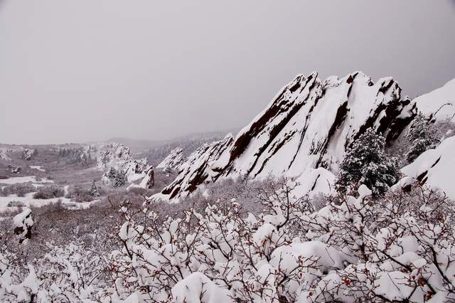 20110206Snow6428