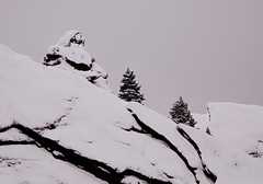 20110206Snow6287