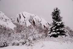 20110206Snow6296