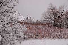 20110206Snow6300