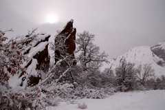 20110206Snow6312