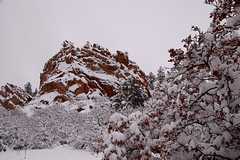 20110206Snow6326