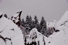 20110206Snow6368