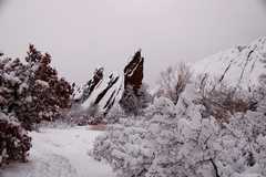 20110206Snow6394
