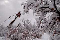 20110206Snow6400