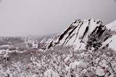 20110206Snow6428