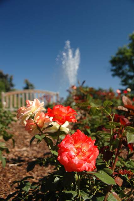 20110903HudsonGardens7458