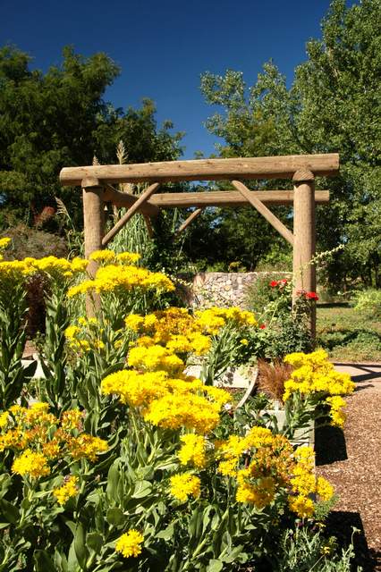 20110903HudsonGardens7516