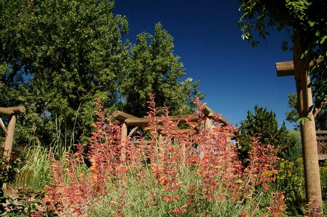 20110903HudsonGardens7592