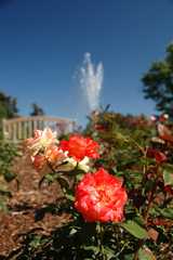 20110903HudsonGardens7458
