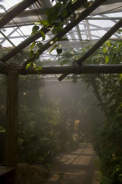 20120704ButterflyPavillion1184