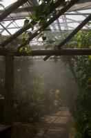 20120704ButterflyPavillion1184