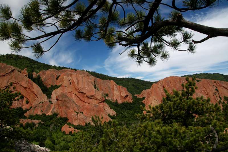 06-20090616Roxborough0394