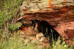 20150722Camping6567