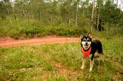 20150722Camping6624