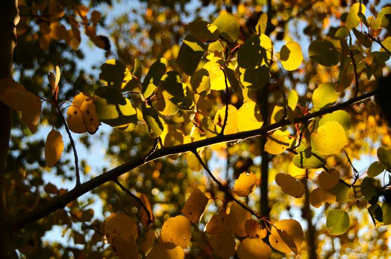 20160918FallColor8148